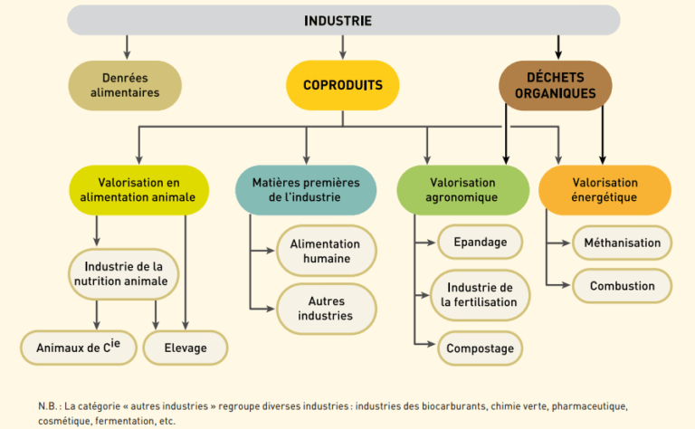 filière recyclage biodéchets et coproduits