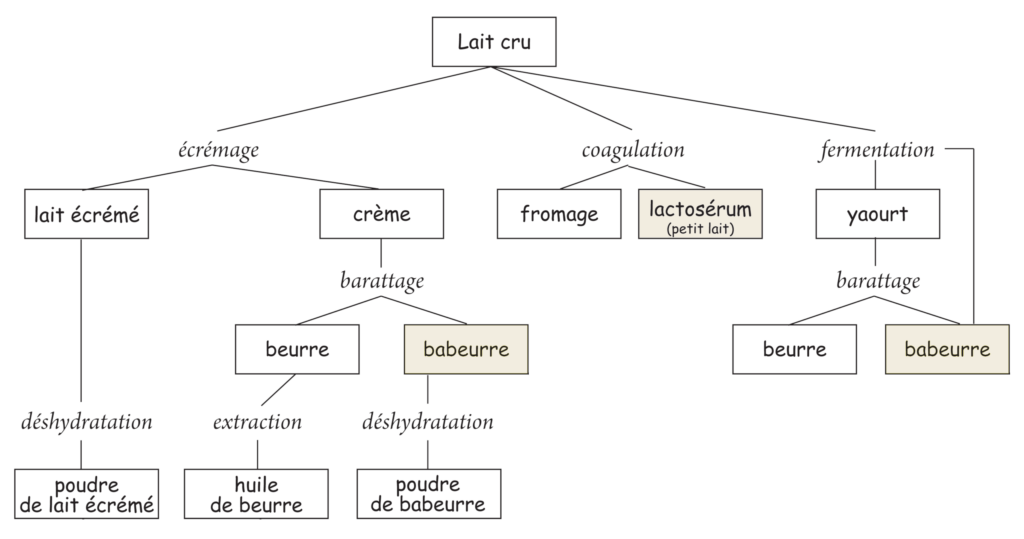 coproduit du lait