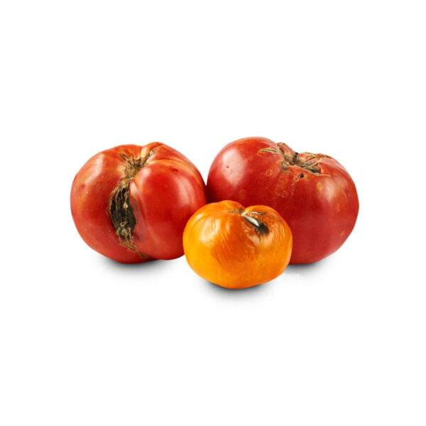 Comment recycler les tomates déclassés (biodéchet) ?